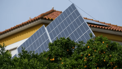 Solar Trees Renewable Integration Solar Trees Renewable Integration