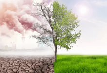Ten effects of climate change Ten effects of climate change