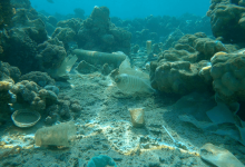 Triple Crisis Climate Pollution Triple Crisis Climate Pollution