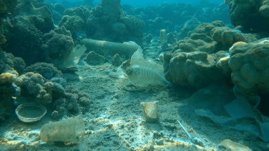 Triple Crisis Climate Pollution Triple Crisis Climate Pollution