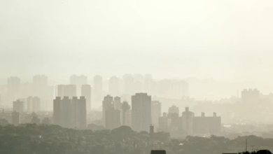 Urban Smog Patterns Urban Smog Patterns