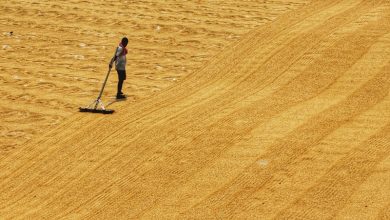 Water Scarcity Water Scarcity