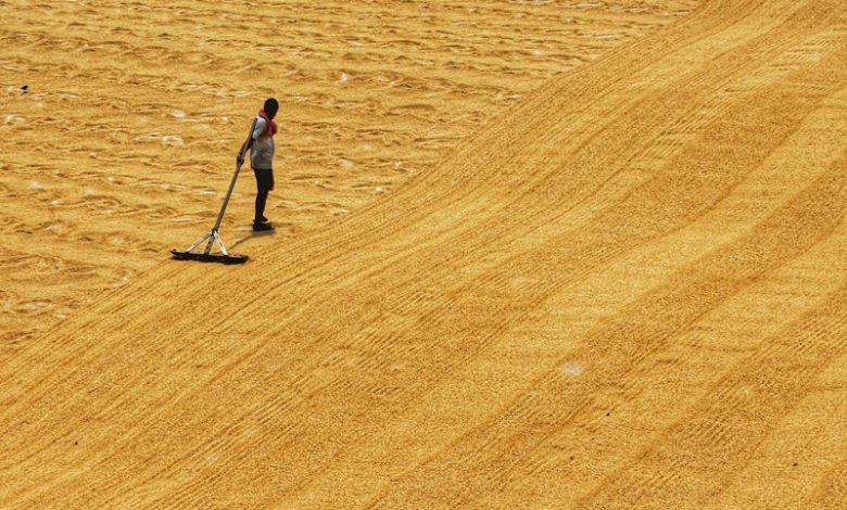 Water Scarcity Water Scarcity