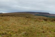 World Wetlands Day World Wetlands Day