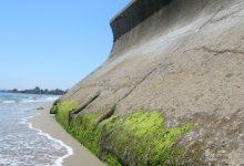 Alexandria Saltwater Intrusion Alexandria Saltwater Intrusion