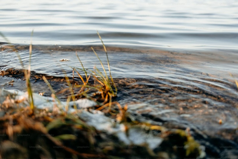 Basra Water Salinity Crisis Basra Water Salinity Crisis