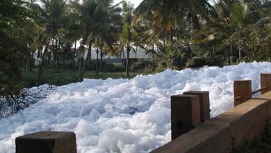 Bengaluru Lake Foam Bengaluru Lake Foam