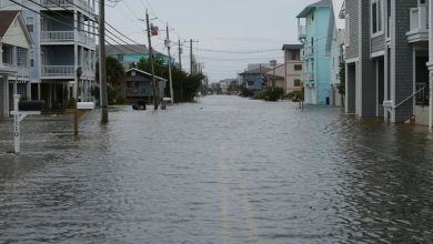 Bucharest Flood Streets Bucharest Flood Streets