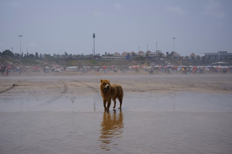 Casablanca Beach Water Quality Alert 1 Casablanca Beach Water Quality Alert