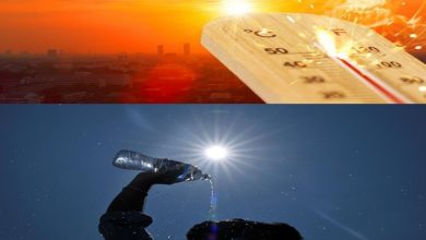 Chennai Heatwave Preparedness 2026 Chennai Heatwave Preparedness 2026