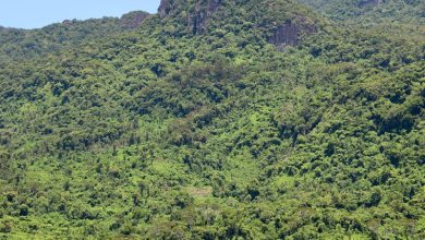 Fiji Climate Tourism 2026 Fiji Climate Tourism 2026