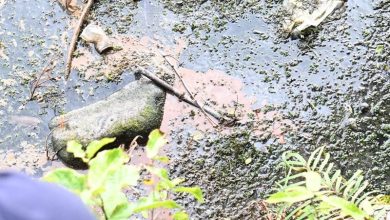 Futala Lake Pollution Nagpur Futala Lake Pollution Nagpur