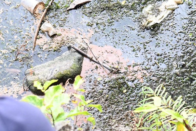 Futala Lake Pollution Nagpur Futala Lake Pollution Nagpur