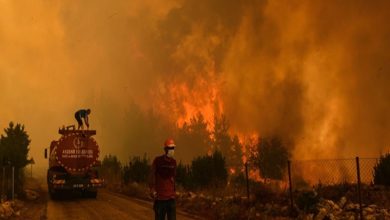 Greece Wildfires 2026 Greece Wildfires 2026