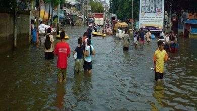 Hangzhou Climate Whiplash Hangzhou Climate Whiplash