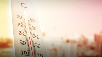 India heat dome April weather forecast India heat dome April weather forecast