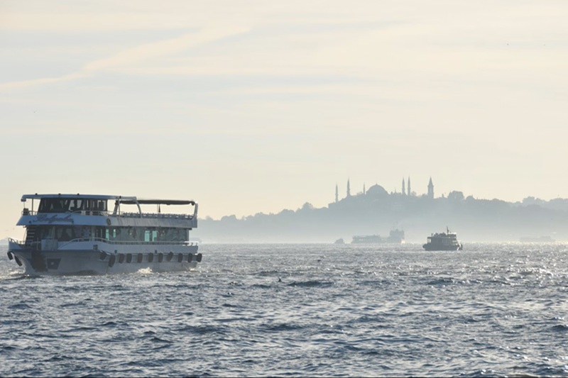 Istanbul Sea Snot 1 Istanbul Sea Snot