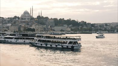 Istanbul Sea Snot Istanbul Sea Snot