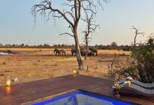 Kaziranga National Park Safari 2026 Kaziranga National Park Safari 2026