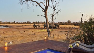 Kaziranga National Park Safari 2026 Kaziranga National Park Safari 2026