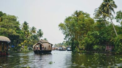 Kerala Backwaters Wildlife Kerala Backwaters Wildlife
