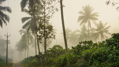 Kerala early monsoon weather 2026 Kerala early monsoon weather 2026