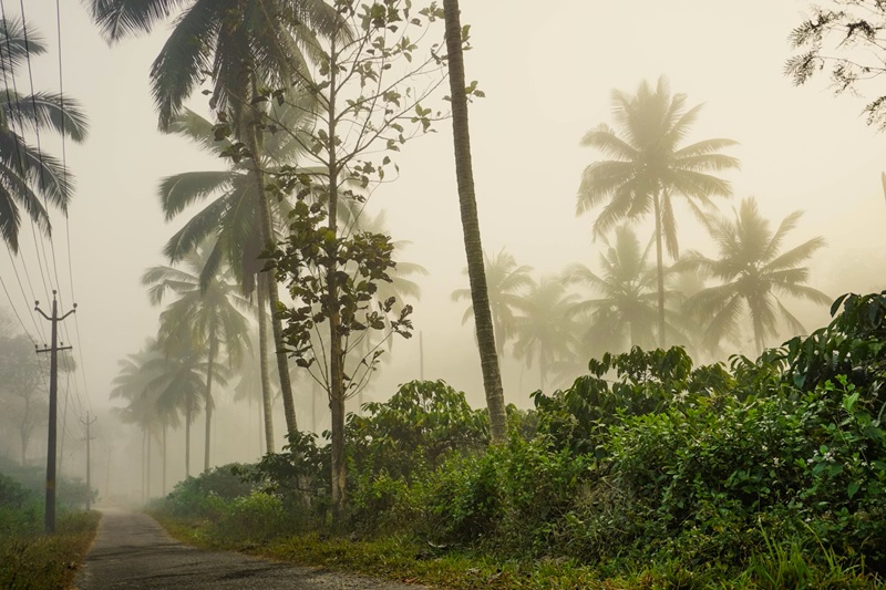 Kerala early monsoon weather 2026 Kerala early monsoon weather 2026