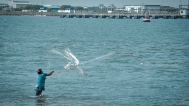 Kochi Backwater Plastic Drift Kochi Backwater Plastic Drift