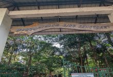 Mangalavanam Sanctuary Protection Kochi Mangalavanam Sanctuary Protection Kochi