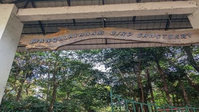 Mangalavanam Sanctuary Protection Kochi Mangalavanam Sanctuary Protection Kochi