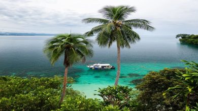 Papua Coastal Villages Relocation 2026 Papua Coastal Villages Relocation 2026