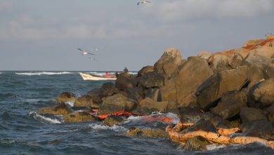 Pemex oil spill Tabasco Gulf Coast impact Pemex oil spill Tabasco Gulf Coast impact