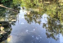 Phalguni River Pollution Mangaluru Phalguni River Pollution Mangaluru