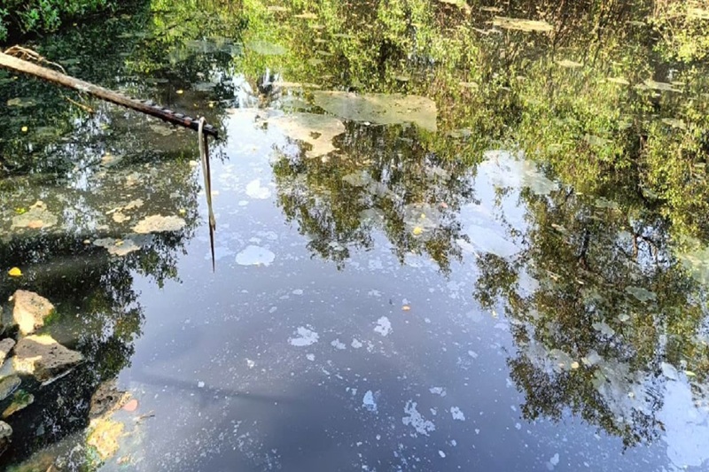 Phalguni River Pollution Mangaluru Phalguni River Pollution Mangaluru