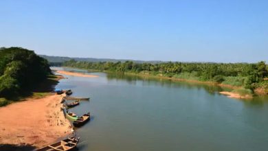 Phalguni River pollution Phalguni River pollution