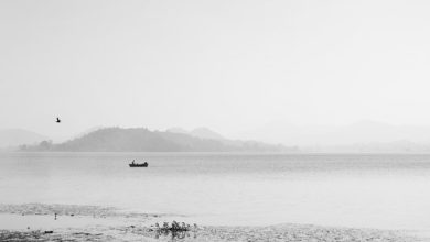 Ranchi Lakes Shrinking Ranchi Lakes Shrinking