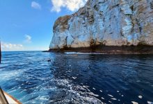 Ross Sea Ocean Ecosystem Ross Sea Ocean Ecosystem