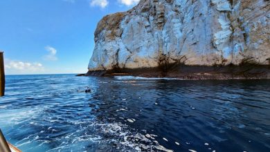 Ross Sea Ocean Ecosystem Ross Sea Ocean Ecosystem