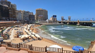 Saltwater Intrusion Alexandria Saltwater Intrusion Alexandria