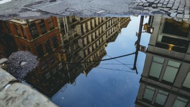 Best vs Worst Neighborhoods in New York City NYC Neighborhoods for Heat and Flood Risk