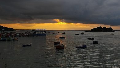 Bhopal Upper Lake shrinkage study Bhopal Upper Lake shrinkage study