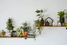 Indoor Air Quality Indoor Air Quality