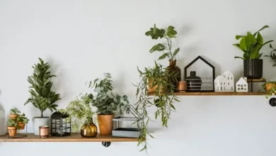 Indoor Air Quality Indoor Air Quality