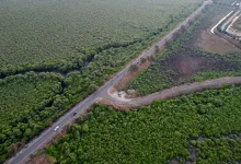 Mangrove Cover in Mumbai Mangrove Cover in Mumbai