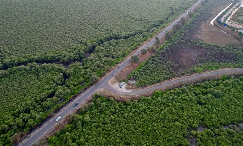 Mangrove Cover in Mumbai Mangrove Cover in Mumbai