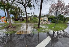 Miami Flood-Prone Areas in Miami