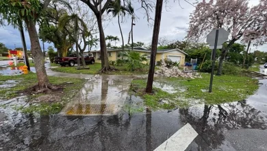 Miami Flood-Prone Areas in Miami