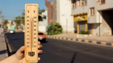 Mysuru Temperatures Mysuru Temperatures