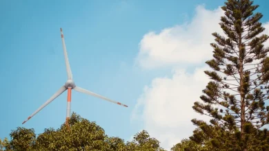 Renewable Energy in India Renewable Energy Subsidies in India 2026