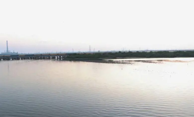 Reservoir Levels Fall Below Seasonal Average for Chennai Chennai reservoir levels
